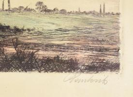 Paulovits Pál (1892-1975): Keresztútnál. Színezett rézkarc, papír, jelzett. Üvegezett fakeretben, la...