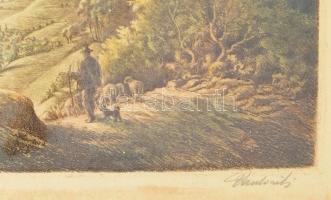 Paulovits Pál (1892-1975): Hazatérés. Színezett rézkarc, papír, jelzett. Üvegezett fakeretben, lap s...