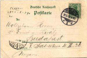 1902 Heidelberg, Station Molkenkur, Bergbahn / railway station. Wilh. Hawerbier Art Nouveau, floral,...