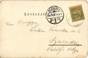 1904 Marilla, Marillavölgy, Marila; Gross Gyula üzlete és saját kiadása / publisher's shop (kop...