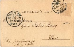 1899 (Vorläufer) Arad, a 13 vértanú szobra. Bloch H. kiadása / monument (EB)