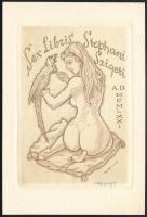 Tempinszky István (1907-1979): Sex libris Stephani Szigeti, rézkarc, papír, jelzett, 12×8 cm