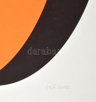 Fajó János (1937-2018): Ellipszis, 2005. Szitanyomat, papír, jelzett, művészpéldány A/E. jelzéssel. ...