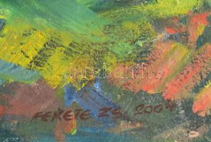 Fekete Zsolt (1935-2016): "Bekecs" (Erdélyi táj), 2004. Olaj, vászon, jelzett, hátoldalán ...