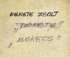 Fekete Zsolt (1935-2016): "Bekecs" (Erdélyi táj), 2004. Olaj, vászon, jelzett, hátoldalán ...
