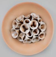 Berzy Katalin (1947- ): Kálacsokros dísztál. Kerámia, jelzett, d: 46 cm, m: 10 cm CSAK SZEMÉLYES ÁTV...