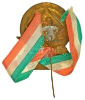 ~1948. "1848" bronz lemezjelvény Petőfi Sándor arcképével és nemzetiszín szalaggal (~30x35...