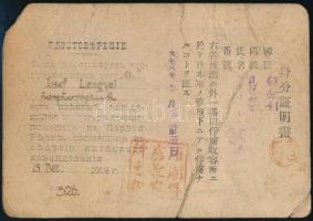 1919 Pervaja Rjecska hadifogolytábor japán parancsnokság alatt. Hadifogoly arcképes igazolvány / Wor...