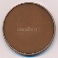 Lapis András (1942-) ~1990. "Feszty körkép - A magyarok bejövetele" egyoldalas bronz emlék...