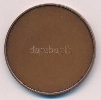 Lapis András (1942-) ~1990. "Sáman" egyoldalas bronz emlékérem (42,5mm) T:UNC