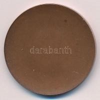 Lapis András (1942-) ~1990. "Feszty Árpád 1856-1914" egyoldalas bronz emlékérem (42,5mm) T...