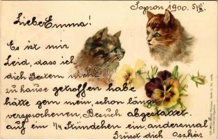 1900 Cats and flowers. litho