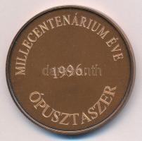 Lapis András (1942-) 1996. "Feszty Árpád 1856-1914" egyoldalas bronz emlékérem, hátoldalán...