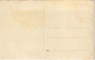 SMS LIKA osztrák-magyar Tátra-osztályú romboló egy Lohner típusú hidroplánt vontat / K.u.K. Kriegsma...