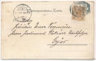 1899 (Vorläufer) Wiener Neustadt, Bécsújhely; general view. metallic foil postcard (worn edges)