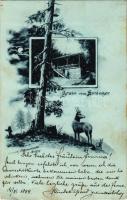 1899 (Vorläufer) Anninger (Gaaden, Mödling), Gruss aus Anninger (fl)