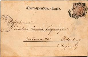 1898 (Vorläufer) Emmerberg (Winzendorf-Muthmannsdorf), Winzendorf, Ruine Emmerberg, Hohe Wand, Schne...