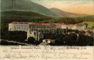 1906 Kalksburg, Collegium Immaculatae Virginis (EK)