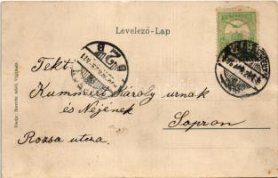 1906 Vágújhely, Neustadt an der Waag, Nové Mesto nad Váhom; Piac tér, Horovitz Adolf üzlete és saját...