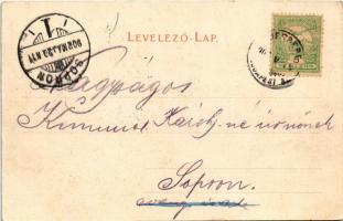 1902 Zólyom, Zvolen; Bádoggyár. Özv. Löwy Samuné kiadása / tin factory (EK)