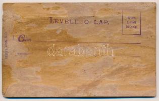 Budapest I. Királyi vár és várbazár, gőzhajó Odol reklámmal. Fakéregből készült keményhátú képeslap ...