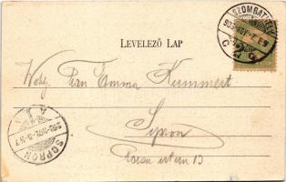 1903 Szombathely, Deák liget. Steiner Testvérek kiadása (EK)