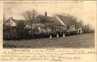 1907 Sopron, Virágvölgy. Stagl F. fényképész (fl)