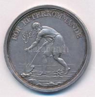 Svédország DN "För efterkommande (Az utókor számára) / Köngl. Wetenskaps Acamedien (Királyi Tudományos Akadémia) - 1815" jelzetlen Ag érdemérem (12,70g/0.830/30mm) T:AU,XF ph., patina Sweden ND "För efterkommande (For posterity) / Köngl. Wetenskaps Acamedien (Royal Science Academy) - 1815" unmarked Ag award medal (12,70g/0.830/30mm) C:AU,XF edge error, patina