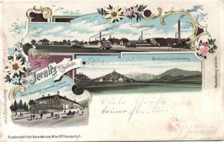 1899 Ternitz Restaurant, factory Litho