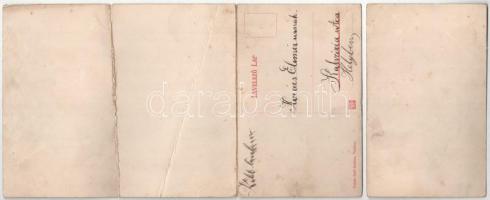 Vízaknasósgyógyfürdő, Salzburg, Ocna Sibiului; fürdő. 4-részes kinyitható panorámalap. Takáts Jenő k...