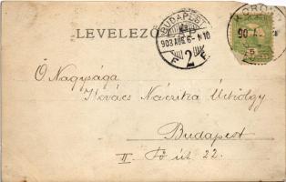 1903 Korond, Corund; "Emlékül a krumpli sütéshez" kirándulók csoportja / group of tourists...