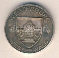 NSZK 1974. "Liebfrauenkirche" fém emlékérem T:exPP