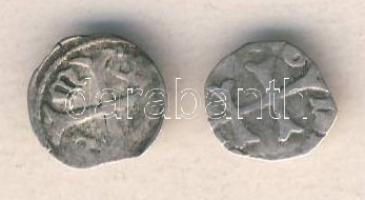 Zsigmond 1387-1437. Denár Ag ÉH.449 T:körbevágva + Parvus Ag ÉH.453 T:3