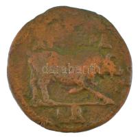 Római Birodalom / Egyiptom / Alexandria / Claudius 41-42. Diobolus (9,63g) T:F,VG Roman Empire / Egy...