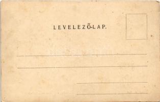 Békéscsaba, madártávlatból, zsinagóga. Corvina könyvkereskedés kiadása (fl)