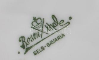 Rosenthal virág mintás váza. Kézzel festett, jelzett, kopással 21 cm