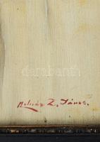 Molnár Z. János (1880-1960): Csendélet. Olaj, karton, jelzett. Dekoratív, sérült fakeretben, 27x22 c...