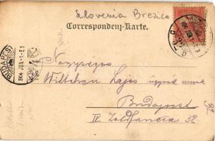 1904 Brezice, Rann a. d. Save; Schloss-Portal / castle gate (EM)