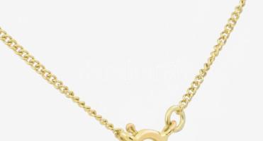 14K arany (Au) nyaklánc medállal jelzett 3,75 g 40 cm