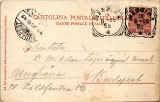 1905 Scilla, Panorama (EB)