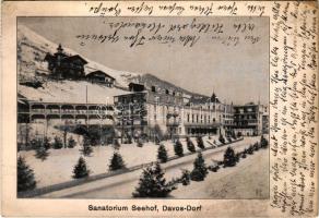 1914 Davos, Sanatorium Seehof (EK)