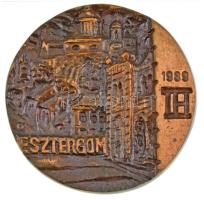 1989. 25 éves az Esztergomi Technika Háza és a MTESZ / Esztergom kétoldalas, öntött bronz plakett (80mm) T:UNC,AU