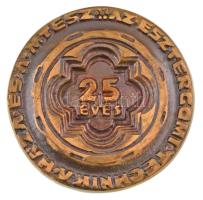 1989. "25 éves az Esztergomi Technika Háza és a MTESZ / Esztergom" kétoldalas, öntött bron...