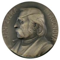 Csehszlovákia 1974. "Zsizska János halálának 550. évfordulója" kétoldalas, ezüstpatinázott...