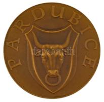 Csehszlovákia ~1970. "Kémiai Műszaki Egyetem / Pardubice" kétoldalas bronz emlékérem. Szig...