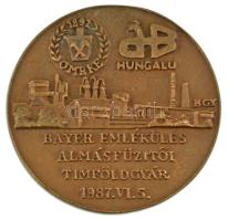 1987. "100 éves a Bayer-eljárás" kétoldalas bronz emlékérem (70mm) T:XF