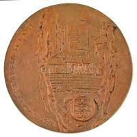 Pátkai Ervin (1937-1985) 1973. Budapest II. kerület 1873-1973 egyoldalas, öntött bronz emlékplakett (~110-113mm) T:AU