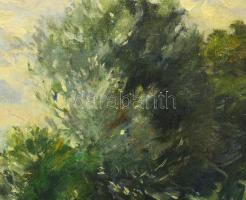 Toroczkai Oszvald (1884-1951): Tiszai táj. Olaj, vászon, jelzett, fakeretben. 50x60 cm