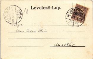 1901 Nagyszeben, Hermannstadt, Sibiu; Kleine Erde mit Musikvereins-Gebäude / utca, zenei egyesület é...