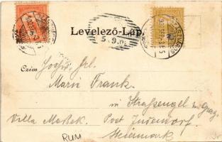 1902 Szászváros, Broos, Orastie; Schulplatz / Iskola tér, gyógyszertár / School Square, pharmacy (gy...